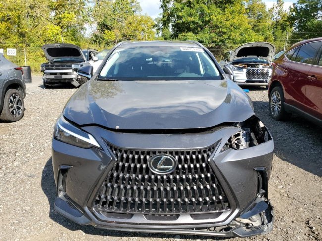 Salvage 2024 Lexus Nx 250  in Gray