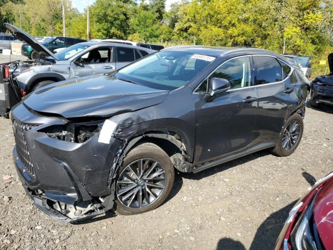 Salvage 2024 Lexus Nx 250  in Gray