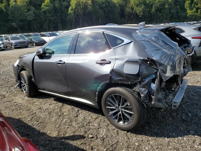 Salvage 2024 Lexus Nx 250  in Gray