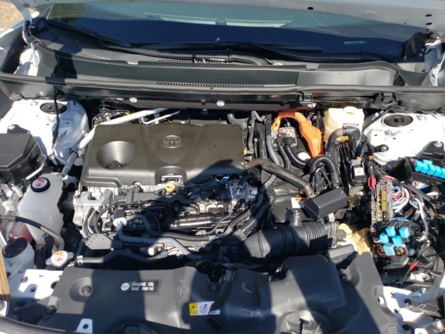 Salvage 2025 Toyota Rav4  in White