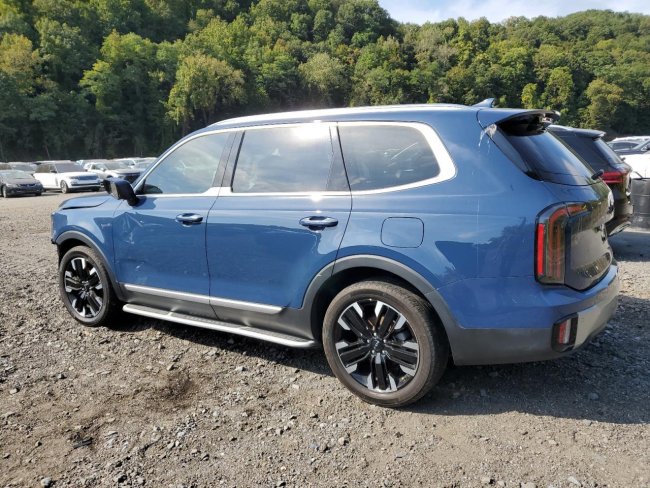 Salvage 2023 Kia Telluride Sx in Blue