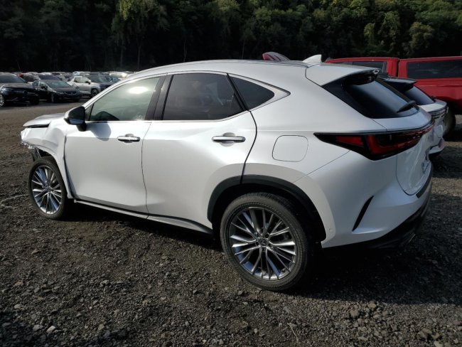 Salvage 2025 Lexus Nx 350h  in White