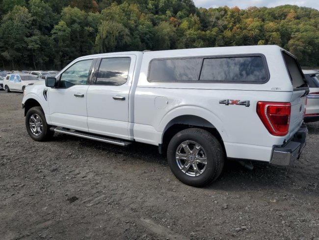 Salvage 2023 Ford F150  in White