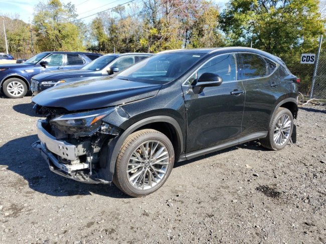 Salvage 2025 Lexus Nx 350h  in Gray