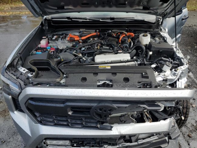 Salvage 2024 Toyota Tacoma  in Gray