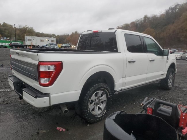 Salvage 2023 Ford F150  in White