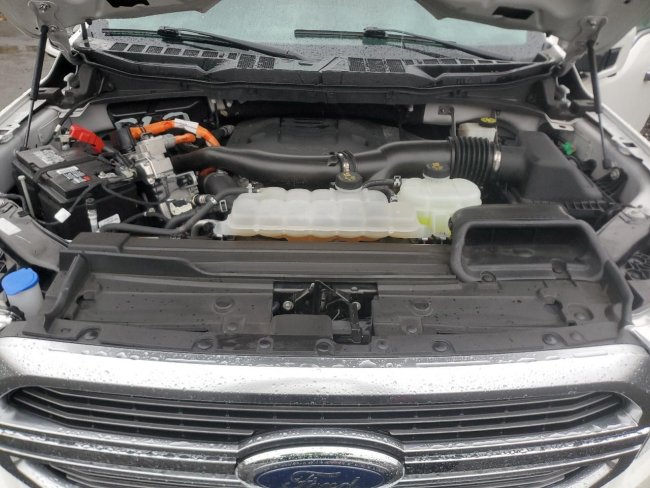 Salvage 2023 Ford F150  in White