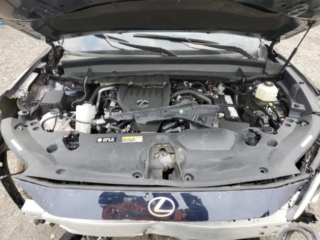 Salvage 2025 Lexus Tx 350  in Blue