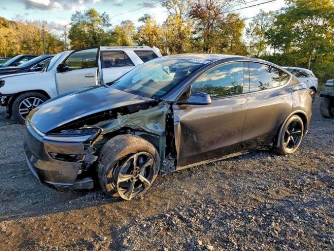Salvage 2026 Tesla Model Y  in Черный
