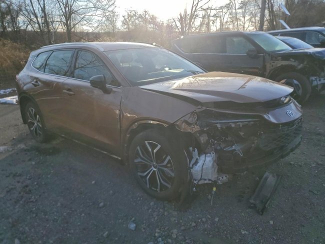 Salvage 2025 Toyota Crown Signia Xle in Коричневый