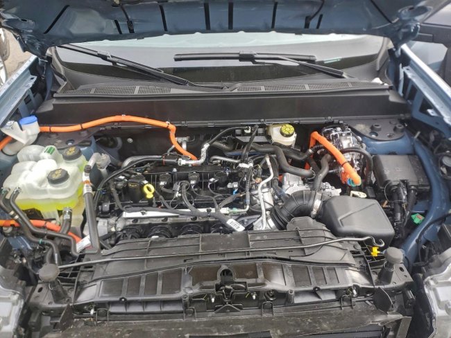 Salvage 2025 Ford Maverick  in Blue