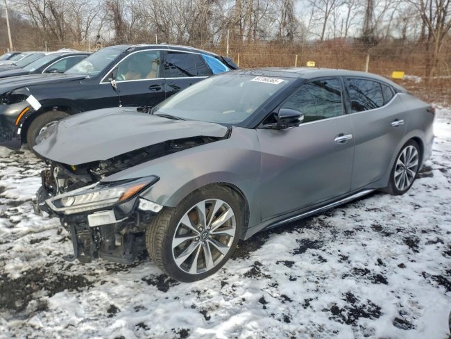 Salvage 2023 Nissan Maxima Platinum in Gray
