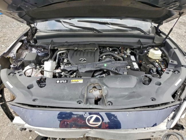 Salvage 2025 Lexus Tx 350  in Blue