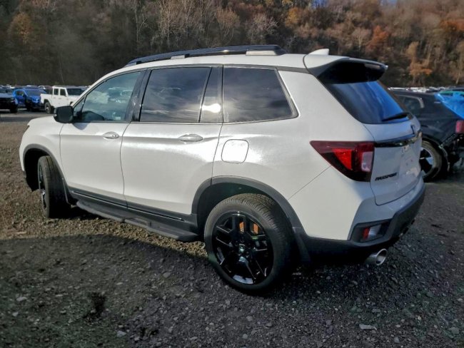 Salvage 2024 Honda Passport Black Edition in White