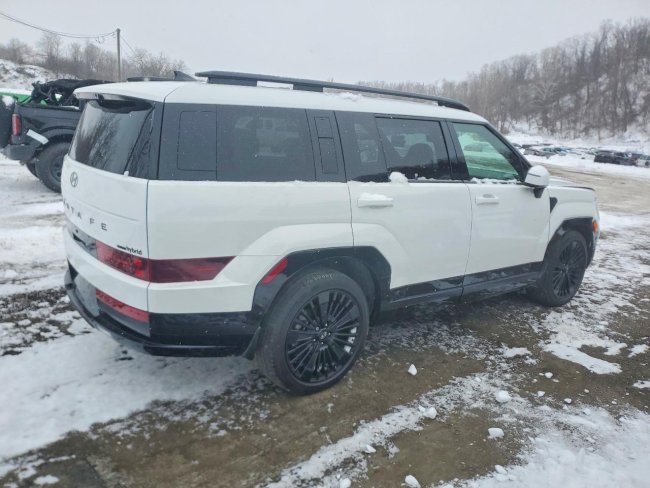 Salvage 2025 Hyundai Santa Fe Calligraphy in White