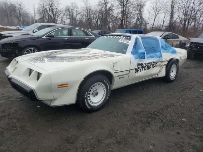 Salvage 1981 Pontiac Trans-am Daytona 500 in White