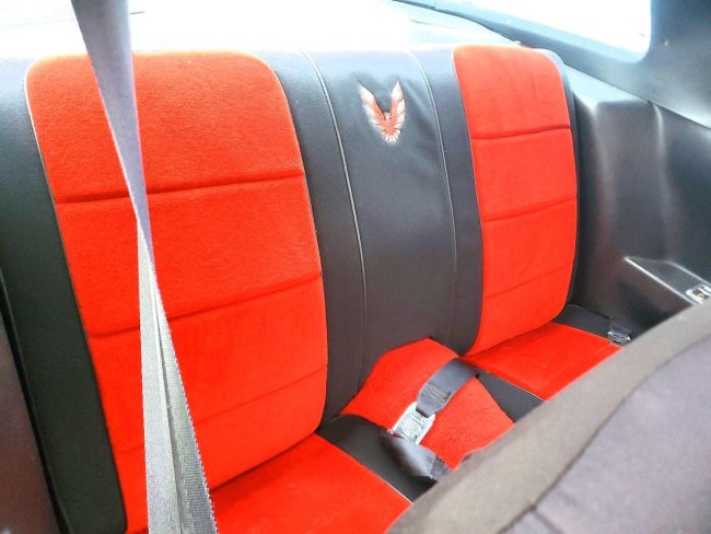 Salvage 1981 Pontiac Trans-am Daytona 500 in White