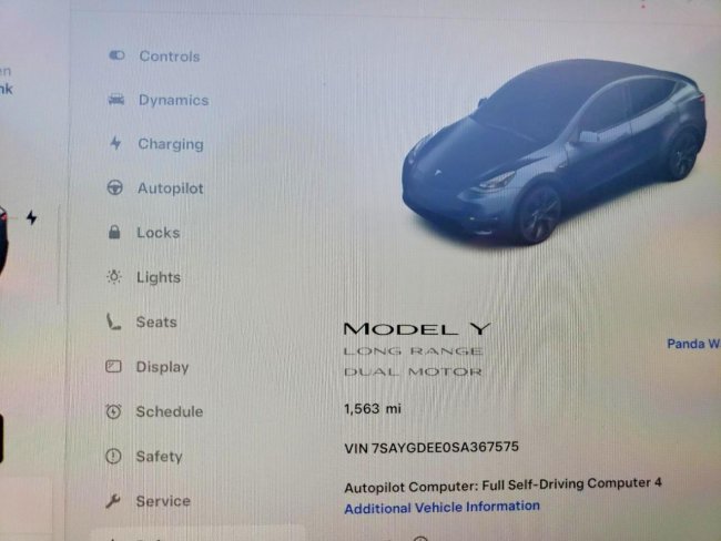 Salvage 2025 Tesla Model Y  in Gray