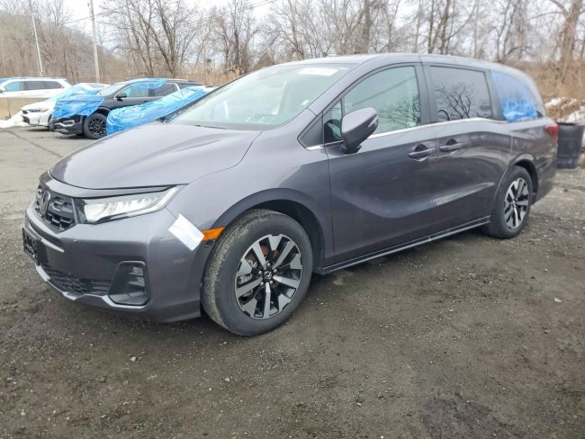 Salvage 2025 Honda Odyssey Exl in Gray