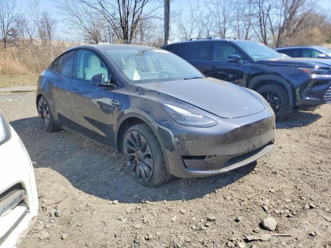 Salvage 2025 Tesla Model Y  in Серый