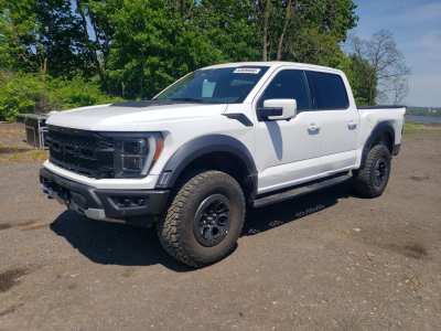 Salvage 2023 Ford F150 Raptor in White