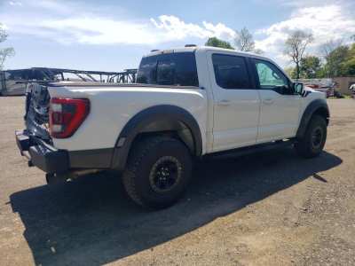 Salvage 2023 Ford F150 Raptor in White