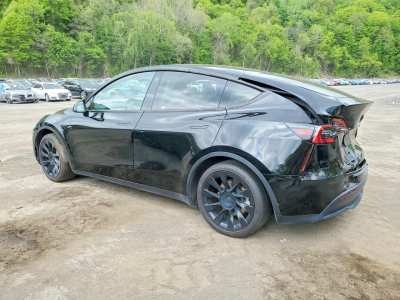Salvage 2023 Tesla Model Y  in Black