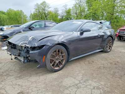 Salvage 2024 Ford Mustang  in Black