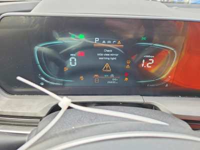 Salvage 2025 Kia Telluride Ex X-line in Black