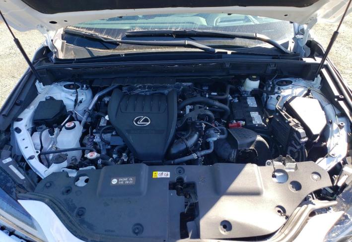 Salvage 2025 Lexus Nx 350 F Sport Handling in Белый