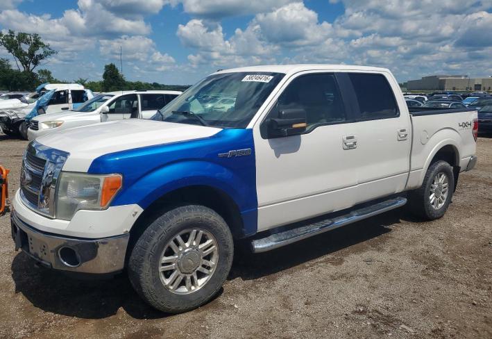 Salvage 2011 Ford F150 Lariat 5.0 in Белый