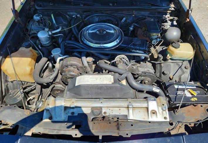 Salvage 1983 Oldsmobile Cutlass Calais in Black