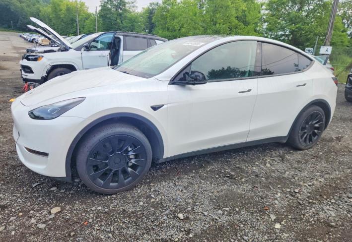 Salvage 2023 Tesla Model Y  in White