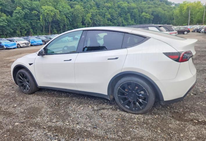 Salvage 2023 Tesla Model Y  in White