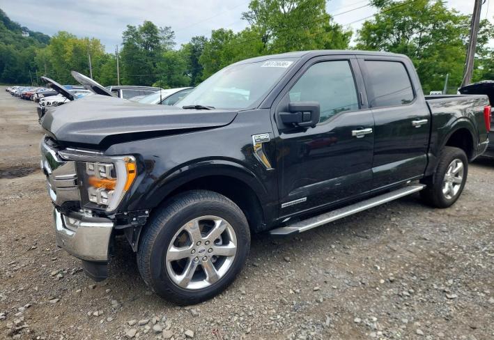 Salvage 2023 Ford F150  in Black