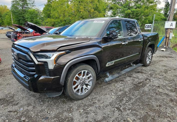 Salvage 2024 Toyota Tundra 1794 Edition Hv in Brown