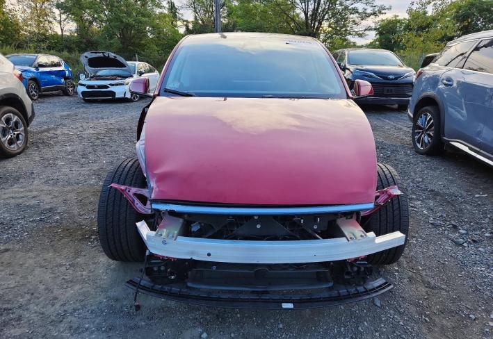 Salvage 2026 Tesla Model Y  in Бордовый