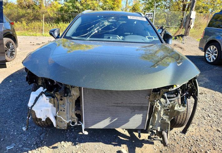 Salvage 2025 Lexus Ux 300h  in Зеленый
