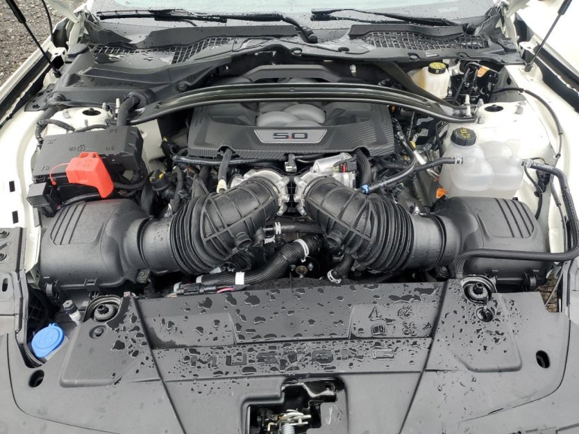 Salvage 2025 Ford Mustang Gt