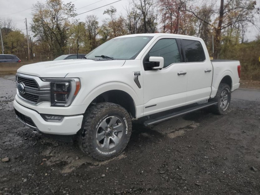 Salvage 2023 Ford F150 