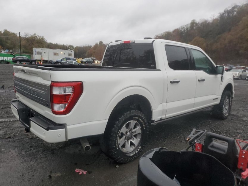 Salvage 2023 Ford F150 