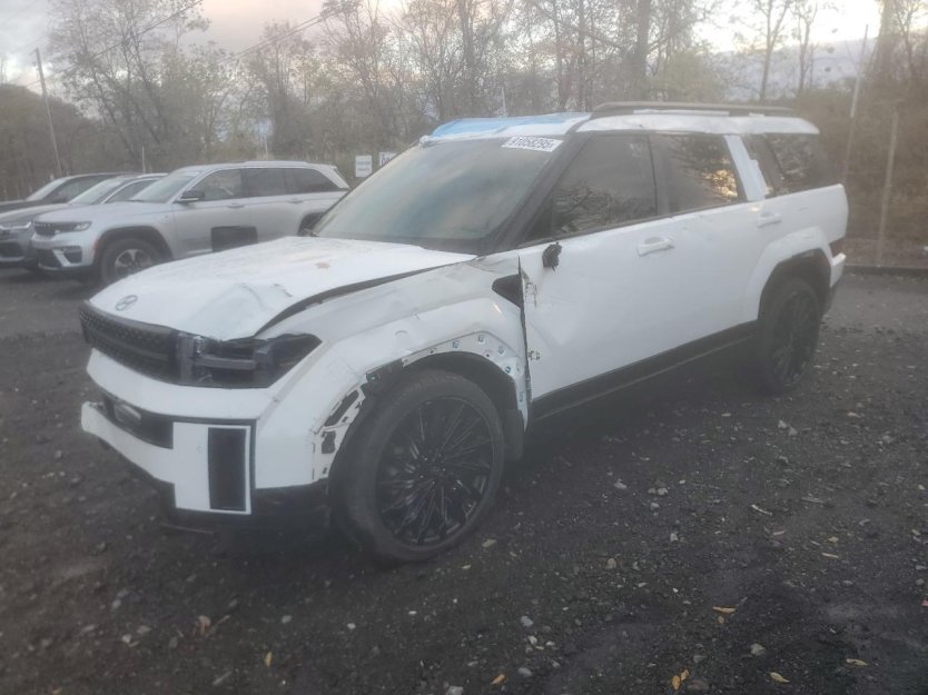 Salvage 2025 Hyundai Santa Fe Calligraphy