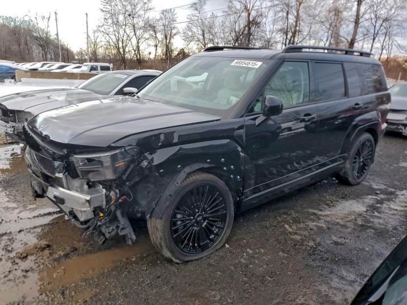 Salvage 2025 Hyundai Santa Fe Calligraphy