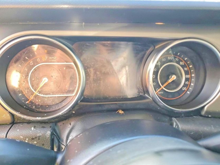 Salvage 2022 Jeep Gladiator 