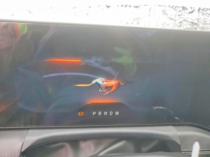 Salvage 2024 Ford Mustang Gt