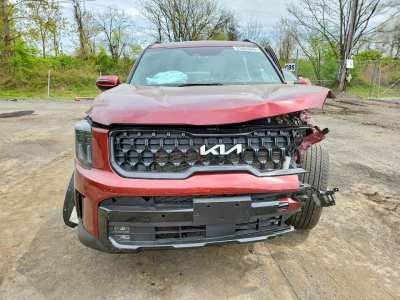 Salvage 2024 Kia Telluride Sx-prestige X-line