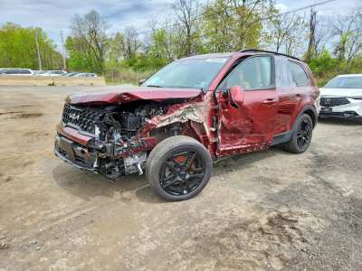 Salvage 2024 Kia Telluride Sx-prestige X-line