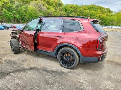 Salvage 2024 Kia Telluride Sx-prestige X-line
