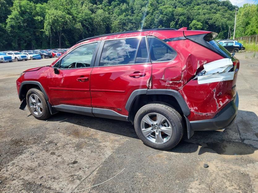Salvage 2025 Toyota Rav4 