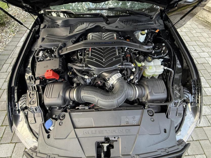 Salvage 2024 Ford Mustang Dark Horse